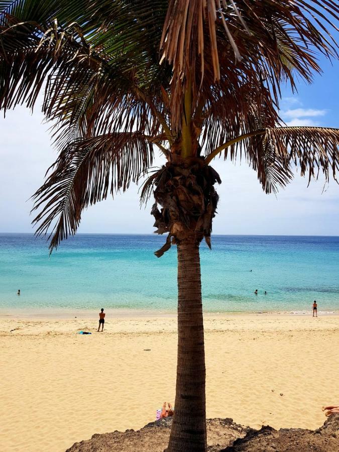 Your Ocean * Costa Calma