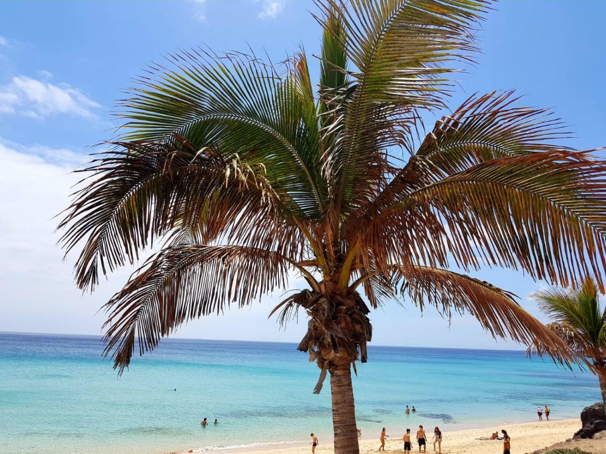 Your Ocean Costa Calma